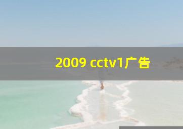 2009 cctv1广告